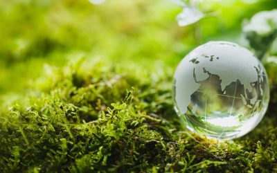 Responsabilité sociétale et environnementale des acteurs du BTP