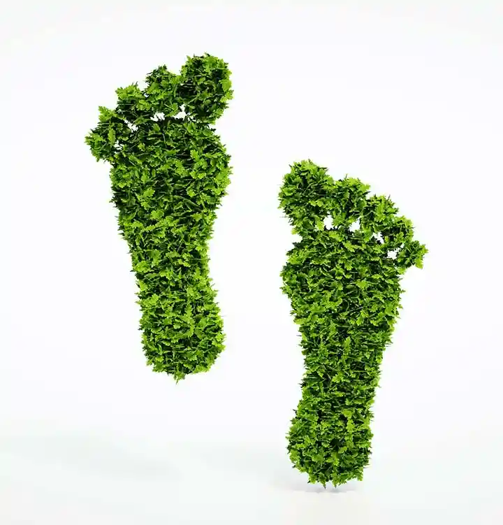 Empreinte environnementale - GRANYTO